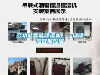 企業(yè)新聞多功能智能除濕機(jī)，一鍵除濕智能控濕