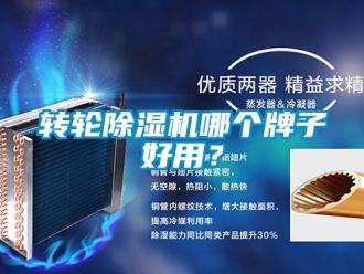 常見問題轉輪除濕機哪個牌子好用？