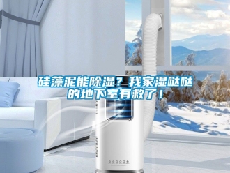 企業新聞硅藻泥能除濕？我家濕噠噠的地下室有救了！