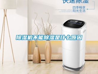 企業新聞除濕機不能除濕是什么原因