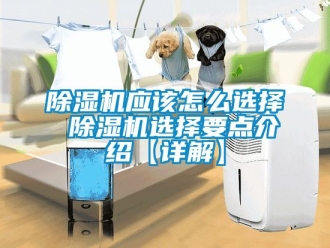行業新聞除濕機應該怎么選擇 除濕機選擇要點介紹【詳解】
