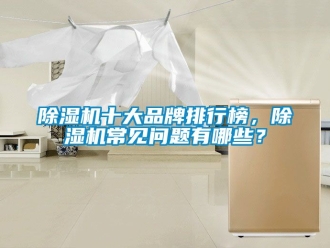 企業新聞除濕機十大品牌排行榜，除濕機常見問題有哪些？