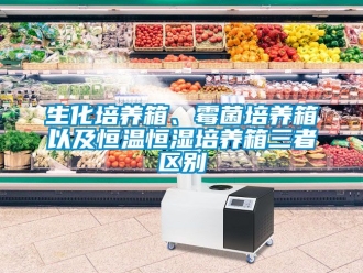 知識百科生化培養(yǎng)箱、霉菌培養(yǎng)箱以及恒溫恒濕培養(yǎng)箱三者區(qū)別