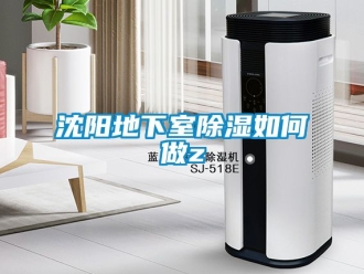 企業新聞沈陽地下室除濕如何做z