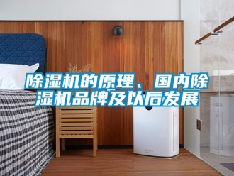 企業新聞除濕機的原理、國內除濕機品牌及以后發展