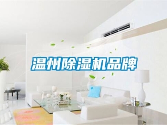 企業新聞溫州除濕機品牌
