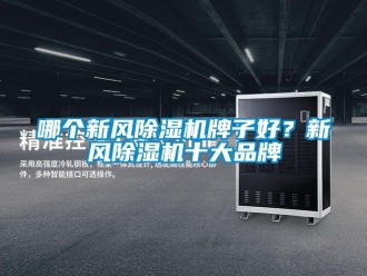 行業新聞哪個新風除濕機牌子好？新風除濕機十大品牌