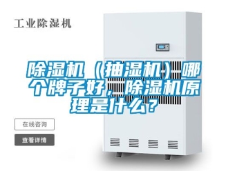 企業新聞除濕機（抽濕機）哪個牌子好，除濕機原理是什么？