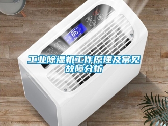 企業新聞工業除濕機工作原理及常見故障分析