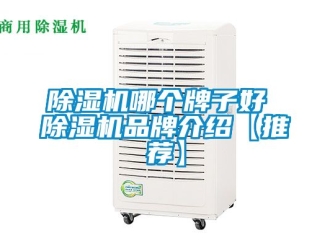 企業(yè)新聞除濕機(jī)哪個(gè)牌子好 除濕機(jī)品牌介紹【推薦】