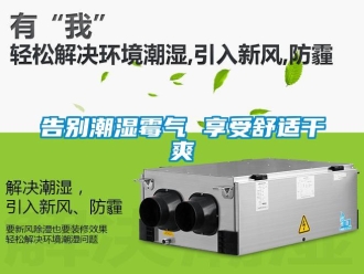 企業新聞告別潮濕霉氣 享受舒適干爽