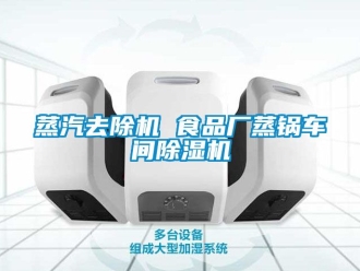 企業新聞蒸汽去除機 食品廠蒸鍋車間除濕機