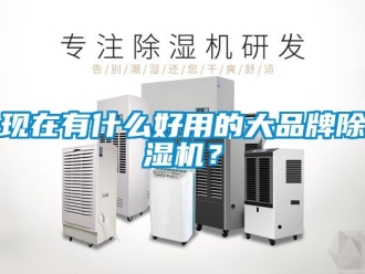 企業新聞現在有什么好用的大品牌除濕機？