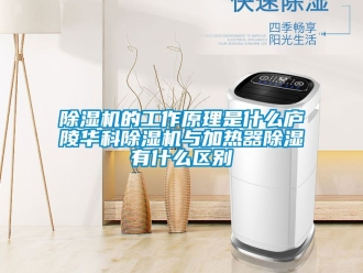 企業新聞除濕機的工作原理是什么廬陵華科除濕機與加熱器除濕有什么區別