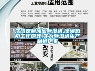 企業新聞洛陽定制泳池除濕機,除濕熱泵工作原理,實力除濕機生產制造廠家