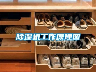 行業新聞除濕機工作原理圖