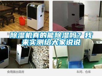 行業新聞除濕機真的能除濕嗎？我來實測給大家說說