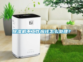 企業新聞除濕機不工作應該怎么處理？