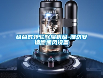 常見問題組合式轉輪除濕機組-濰坊安適德通風設備