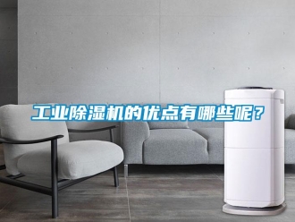 企業新聞工業除濕機的優點有哪些呢？
