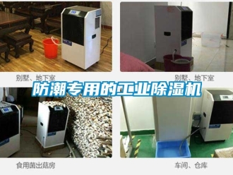 常見問題防潮專用的工業除濕機