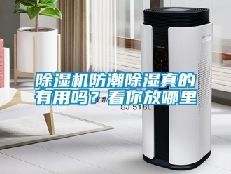 行業(yè)新聞除濕機(jī)防潮除濕真的有用嗎？看你放哪里