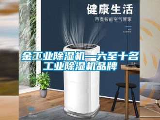 常見(jiàn)問(wèn)題金工業(yè)除濕機(jī)—六至十名工業(yè)除濕機(jī)品牌