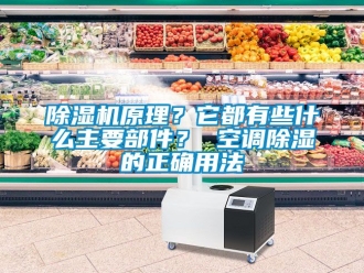 行業(yè)新聞除濕機(jī)原理？它都有些什么主要部件？ 空調(diào)除濕的正確用法