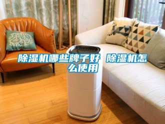 行業新聞除濕機哪些牌子好 除濕機怎么使用