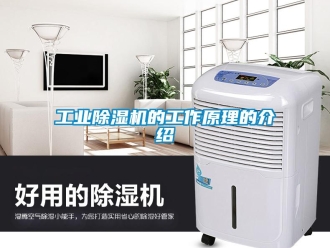 企業新聞工業除濕機的工作原理的介紹
