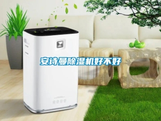 企業新聞安詩曼除濕機好不好