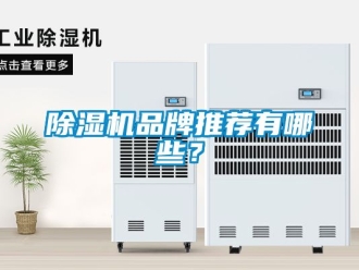 企業(yè)新聞除濕機(jī)品牌推薦有哪些？