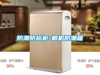常見問題防潮防磁柜-相機(jī)防潮箱