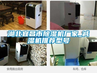 企業新聞湖北宜昌市除濕機廠家_減濕機推薦型號