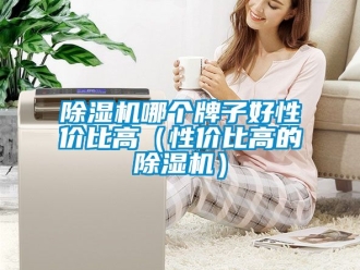 行業新聞除濕機哪個牌子好性價比高（性價比高的除濕機）