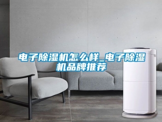 企業新聞電子除濕機怎么樣_電子除濕機品牌推薦