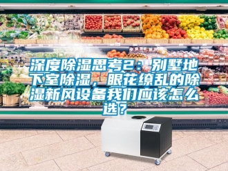 企業(yè)新聞深度除濕思考2：別墅地下室除濕，眼花繚亂的除濕新風(fēng)設(shè)備我們應(yīng)該怎么選？