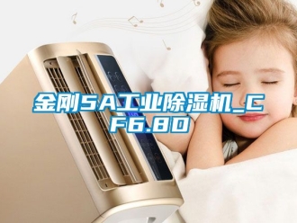 常見問題金剛5A工業除濕機_CF6.8D