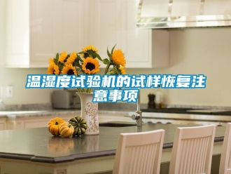 企業新聞溫濕度試驗機的試樣恢復注意事項