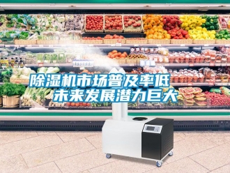 行業新聞除濕機市場普及率低   未來發展潛力巨大
