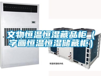 知識百科文物恒溫恒濕藏品柜（字畫恒溫恒濕儲藏柜）