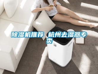 行業新聞除濕機推薦 杭州去濕器專賣