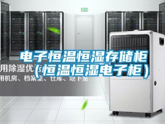 知識百科電子恒溫恒濕存儲柜（恒溫恒濕電子柜）