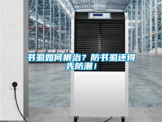 常見問題書虱如何根治？防書虱還得先防潮！