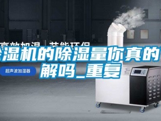 企業新聞除濕機的除濕量你真的了解嗎_重復