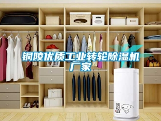 企業(yè)新聞銅陵優(yōu)質工業(yè)轉輪除濕機廠家