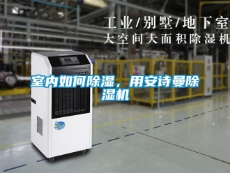 企業新聞室內如何除濕，用安詩曼除濕機