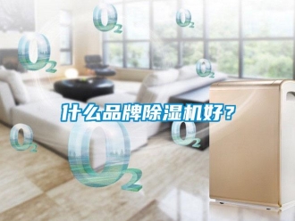 知識百科什么品牌除濕機好？