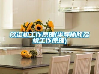 行業新聞除濕機工作原理(半導體除濕機工作原理)