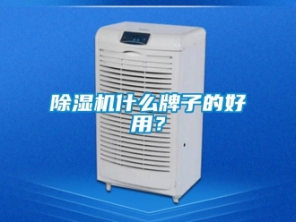 行業新聞除濕機什么牌子的好用？
